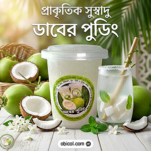 স্পেশাল ডাব পুডিং